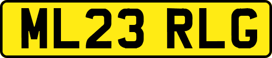 ML23RLG
