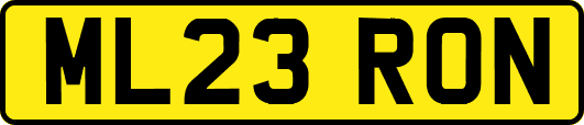 ML23RON