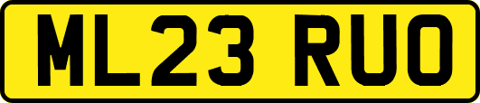 ML23RUO