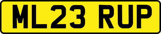 ML23RUP
