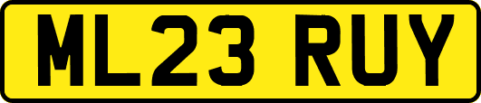 ML23RUY