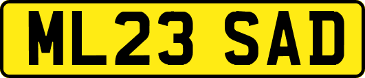 ML23SAD