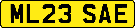 ML23SAE
