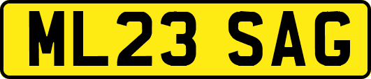 ML23SAG
