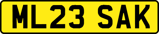 ML23SAK