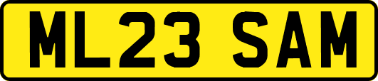 ML23SAM