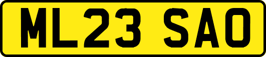 ML23SAO