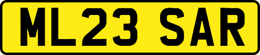 ML23SAR