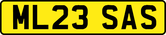 ML23SAS