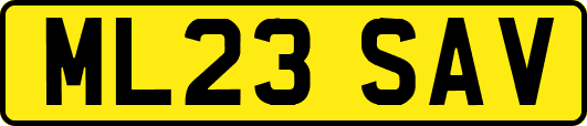 ML23SAV