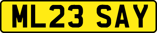 ML23SAY