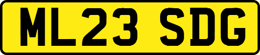 ML23SDG
