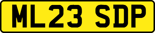 ML23SDP