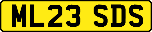 ML23SDS