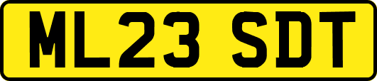 ML23SDT