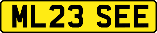 ML23SEE