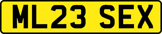 ML23SEX
