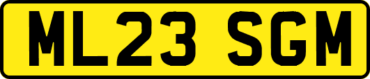 ML23SGM