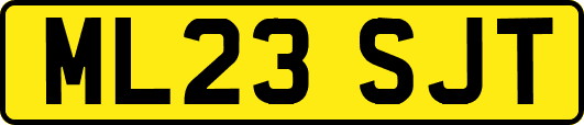 ML23SJT