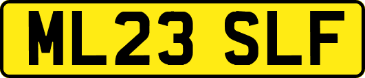 ML23SLF