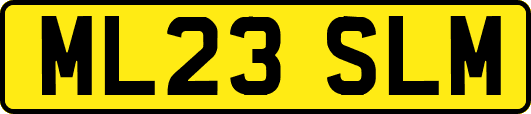ML23SLM