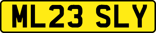 ML23SLY