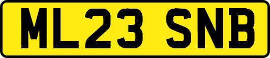 ML23SNB
