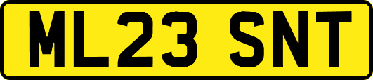 ML23SNT