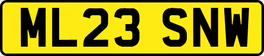 ML23SNW