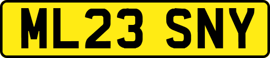 ML23SNY