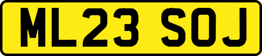 ML23SOJ
