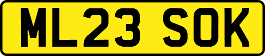 ML23SOK