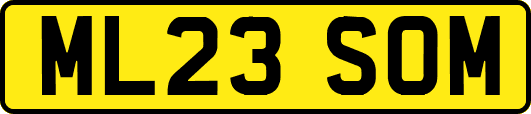 ML23SOM