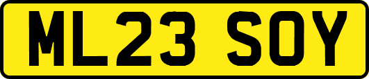 ML23SOY