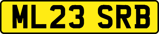 ML23SRB