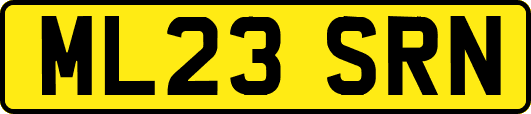 ML23SRN