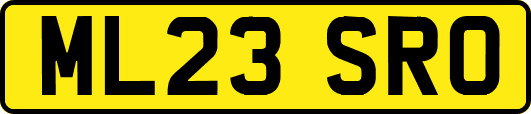 ML23SRO