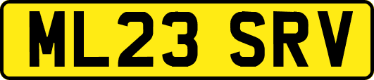 ML23SRV
