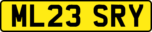 ML23SRY