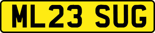 ML23SUG