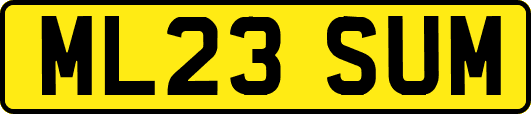 ML23SUM