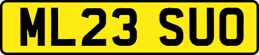 ML23SUO