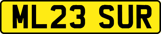 ML23SUR