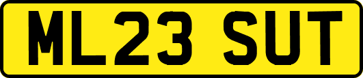 ML23SUT