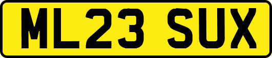 ML23SUX