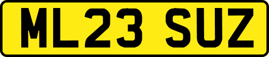 ML23SUZ