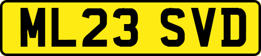 ML23SVD