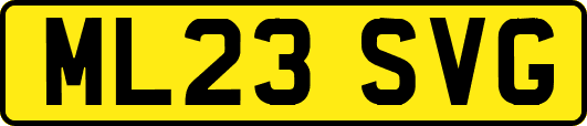ML23SVG