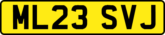 ML23SVJ