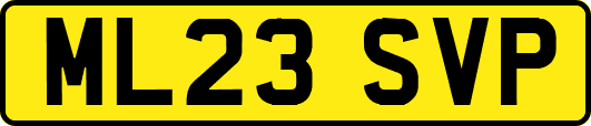 ML23SVP